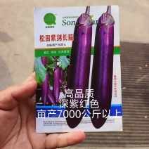 松田紫剑长茄子种子中早熟皮紫红亮丽亩产12000斤商品