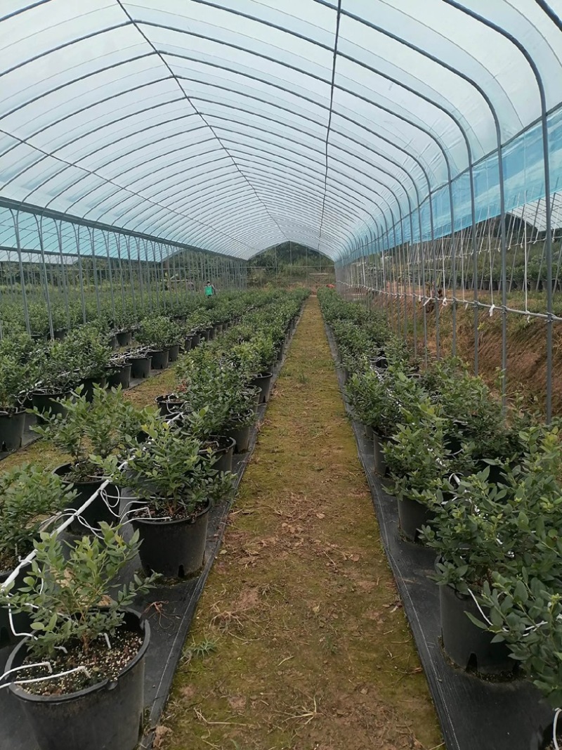 厂家直销蔬菜大棚骨架型号齐全量大可优惠全国发货