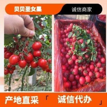 【山东济南釜山88】上市了！！真实价格，物美价廉实力代办