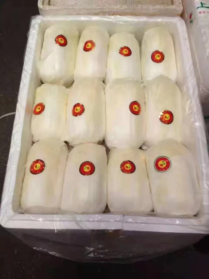 精品娃娃菜大量现货规格齐全，各种包装