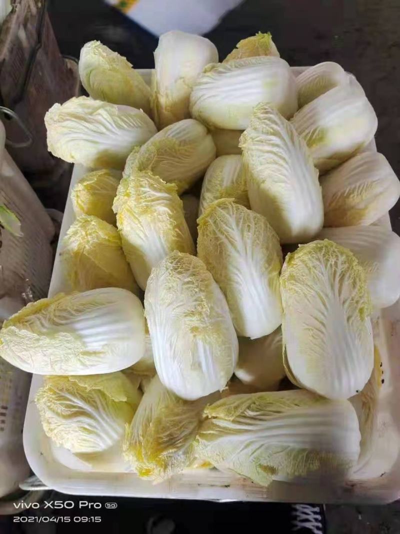 精品娃娃菜大量现货规格齐全，各种包装
