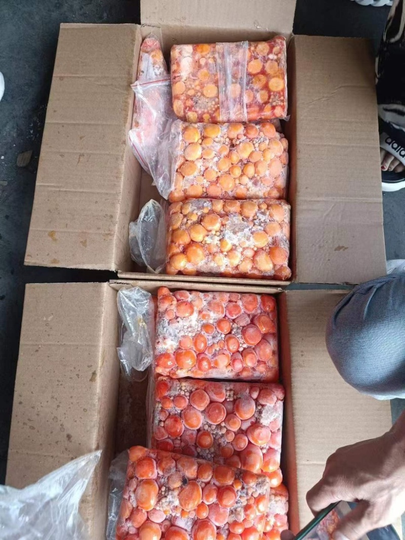 蛋黄新鲜冷冻生鸡蛋黄卵天然卵凝脂蛋黄宠物狗零食美毛护肤