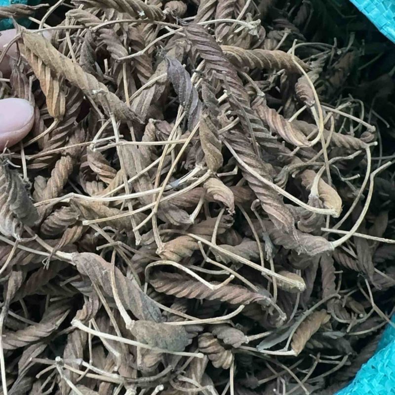 火索麻