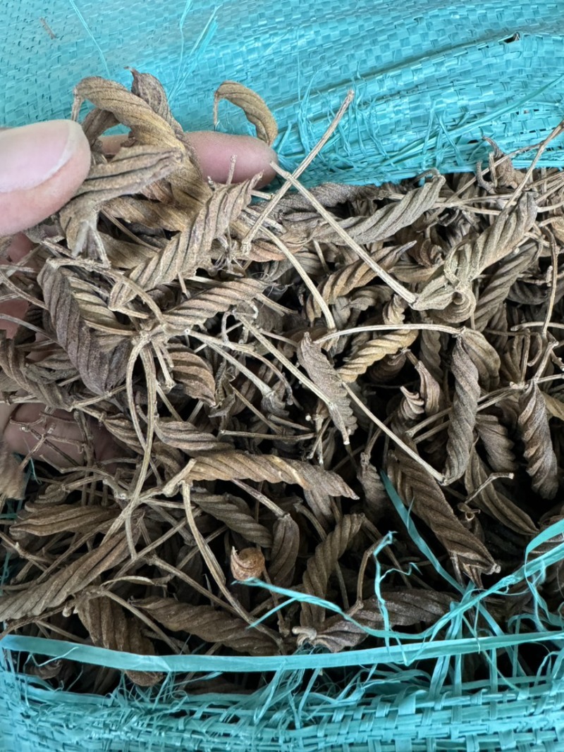 火索麻