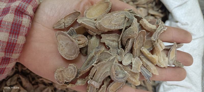 郁金，主营各种中草药有需要的老板直接下单