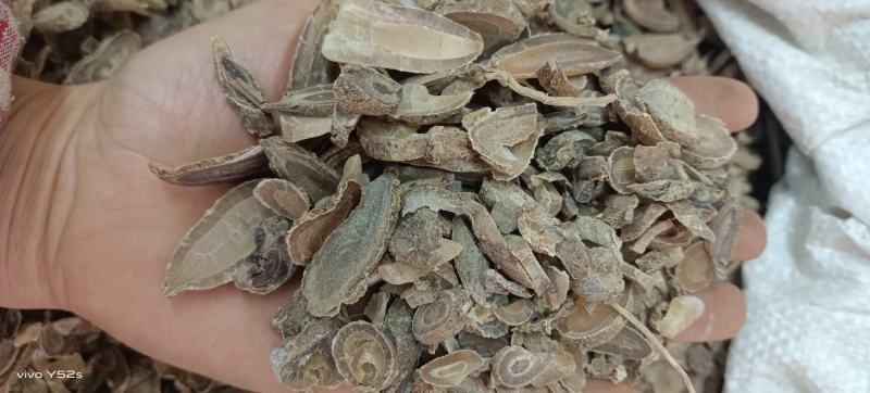 郁金，主营各种中草药有需要的老板直接下单