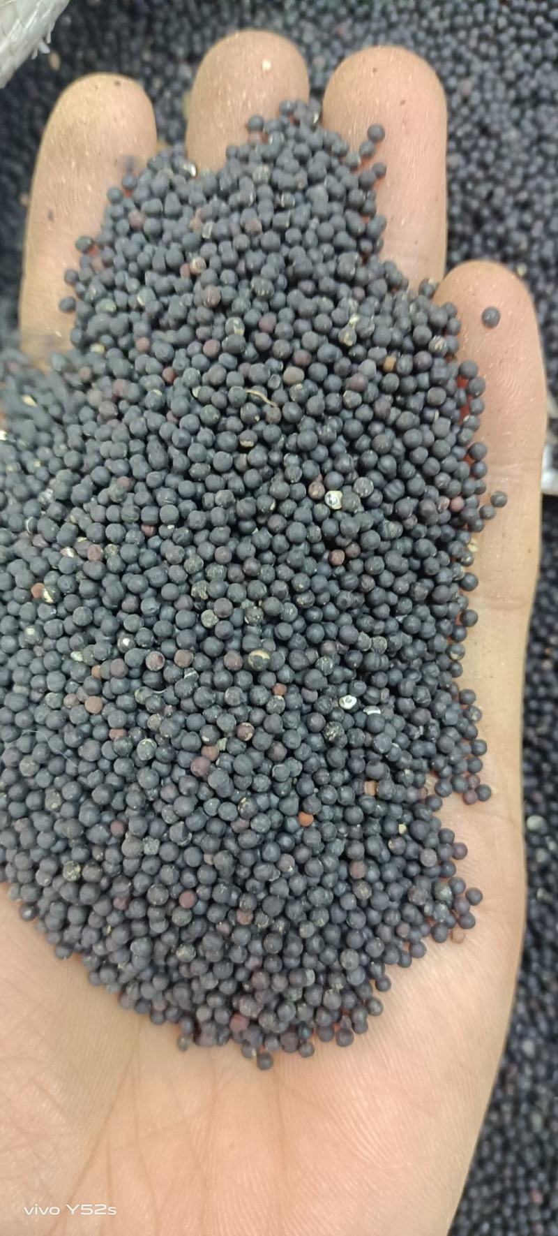 王不留行炒王不留行各种中草药名贵药材冷背药材多种混搭批发
