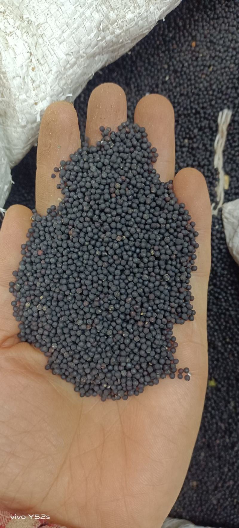 王不留行炒王不留行各种中草药名贵药材冷背药材多种混搭批发
