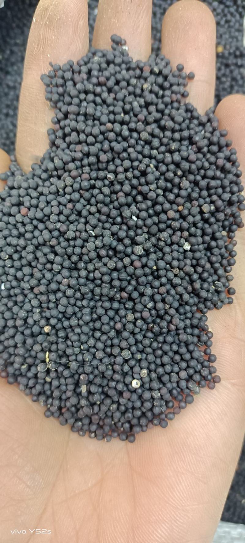 王不留行炒王不留行各种中草药名贵药材冷背药材多种混搭批发