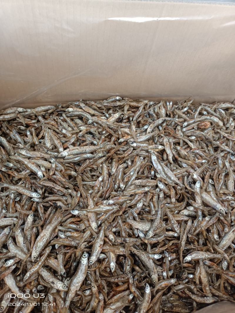 小白条鱼干