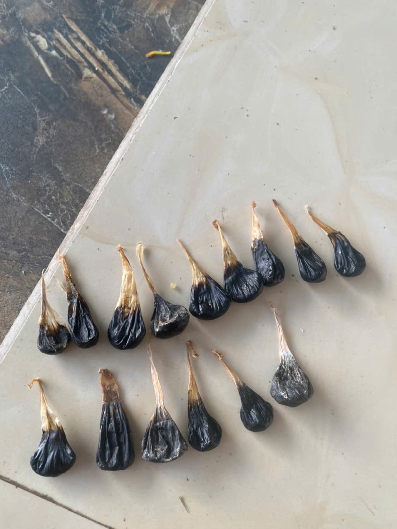 正品蛇胆价格美丽，需要的联系