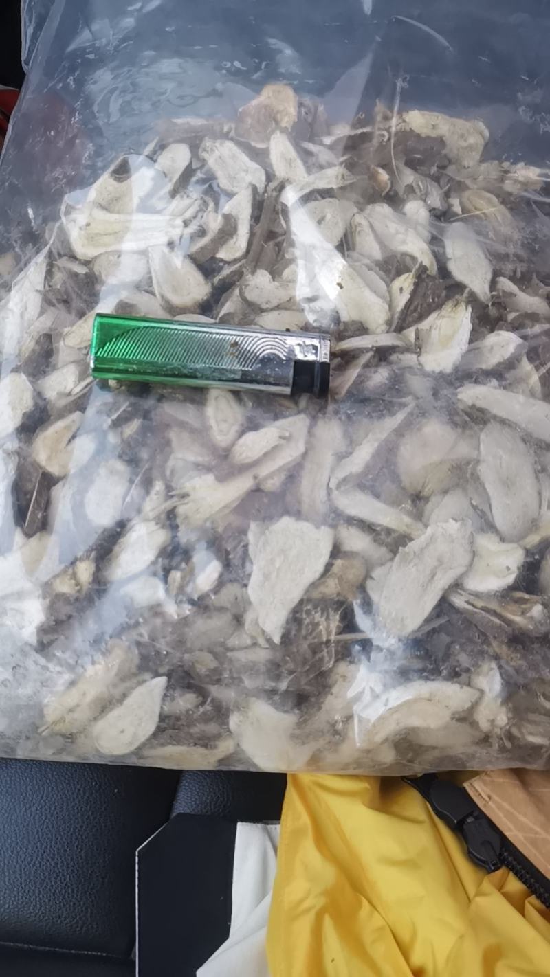 白术片子