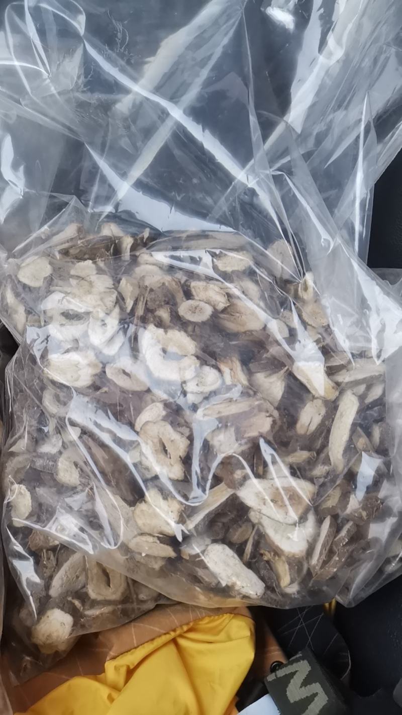 白术片子