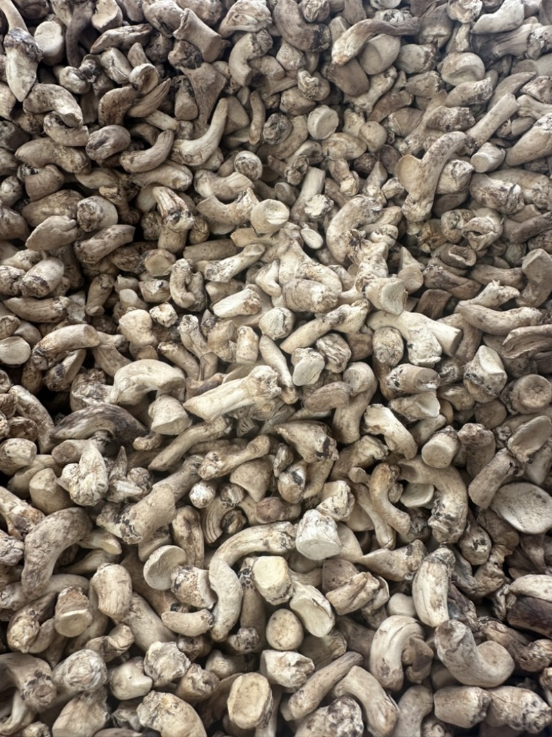 优质单剪香菇腿香菇脚干净无杂放心食用