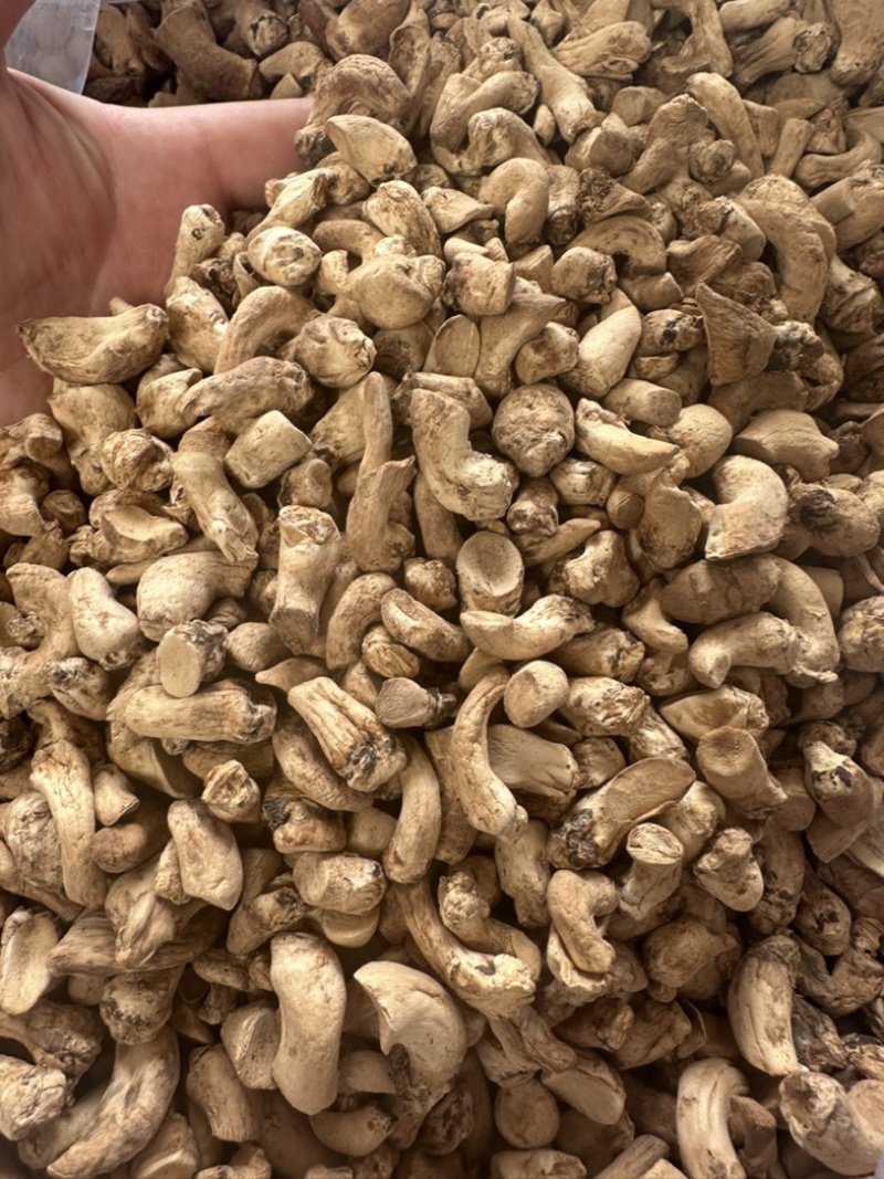 优质单剪香菇腿香菇脚干净无杂放心食用