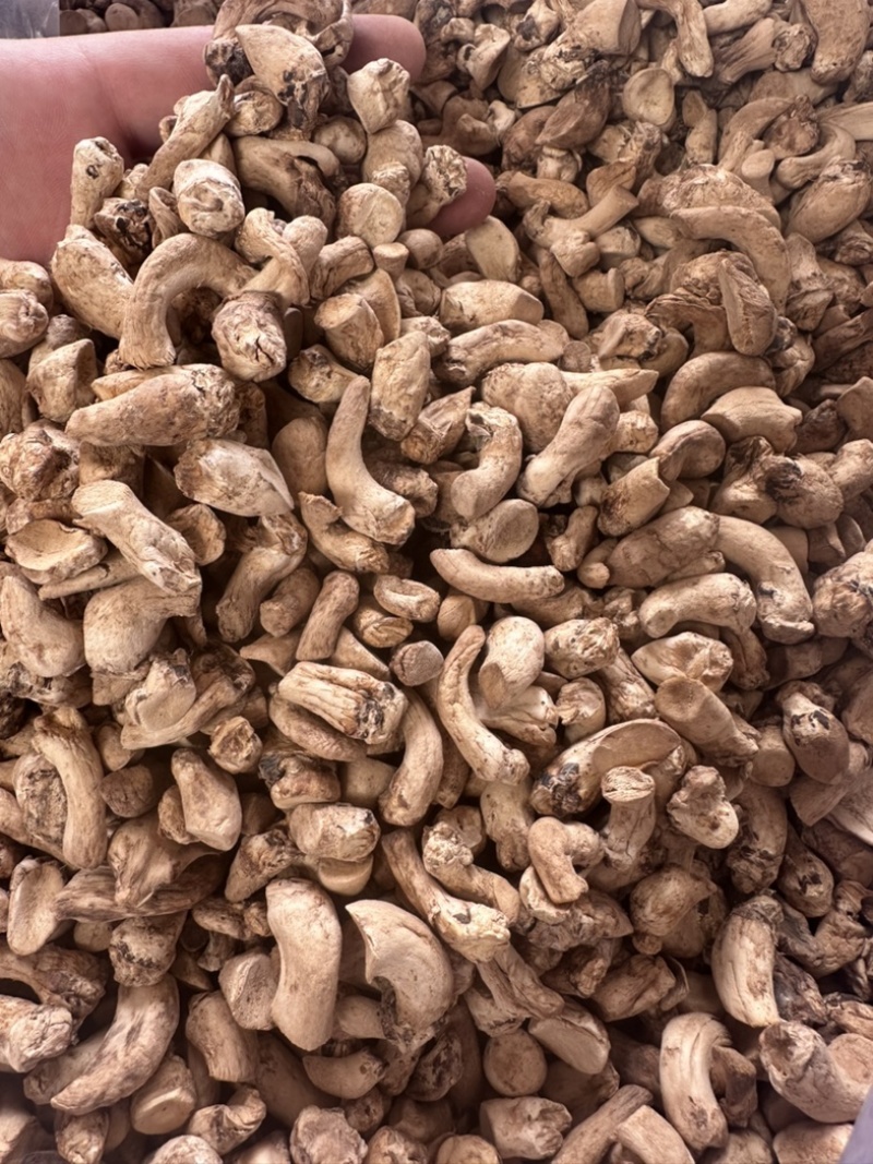 优质单剪香菇腿香菇脚干净无杂放心食用