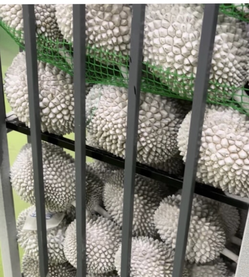 液氮黑刺D200马来西亚规格齐全品质保证