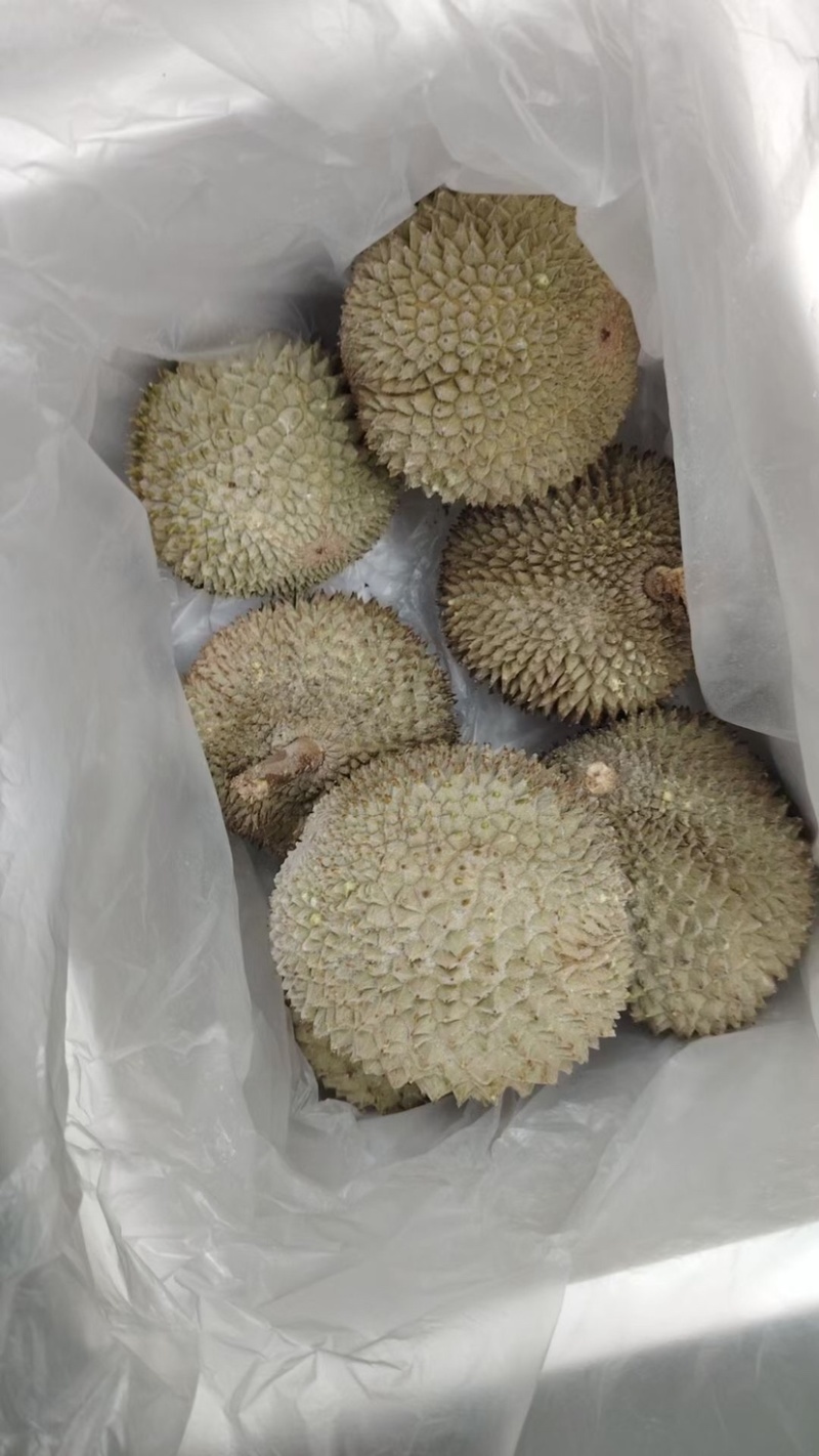 液氮黑刺D200马来西亚规格齐全品质保证
