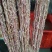 量大从优，欢迎订购，水鸭肠