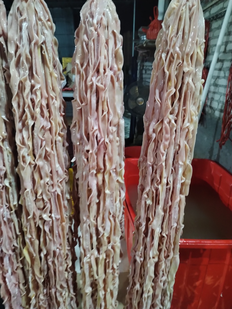 量大从优，欢迎订购，水鸭肠