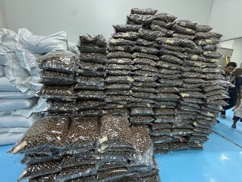 自家工厂一手货源今年新果
