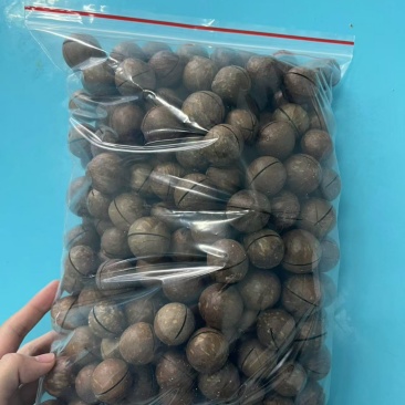 自家工厂一手货源今年新果