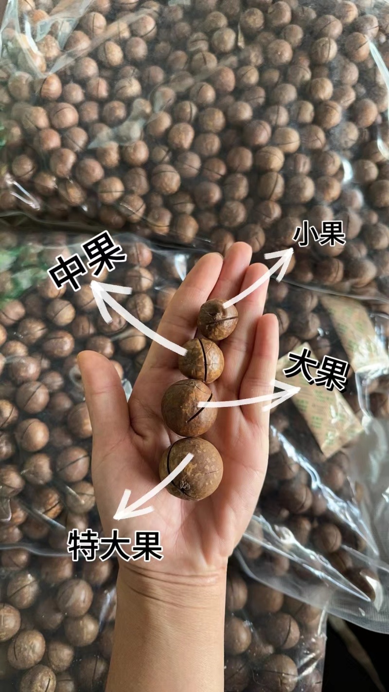 自家工厂一手货源今年新果