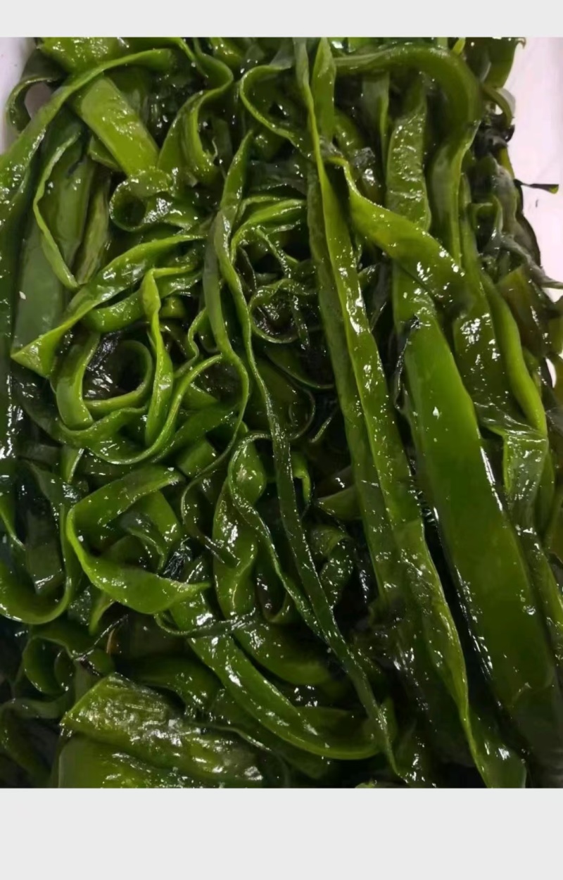 盐渍脱水裙带菜一级梗。一级梗丝