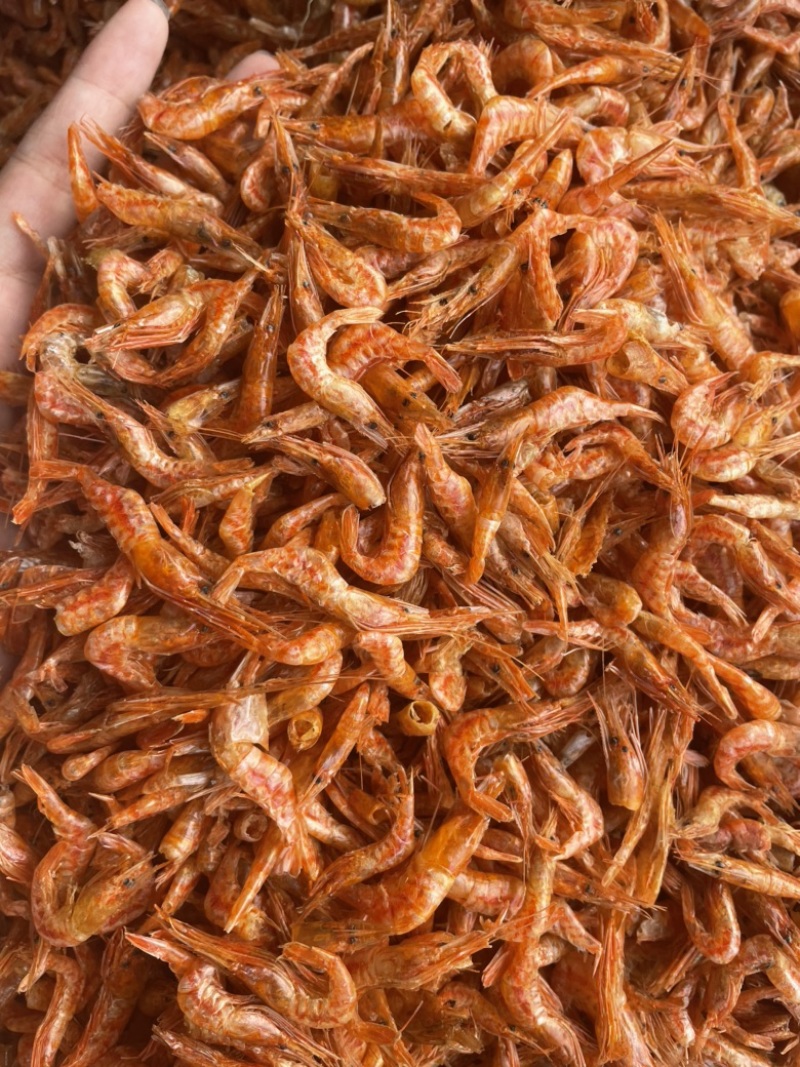 大红虾干樱花虾虾干河虾干无盐淡干草虾干精品