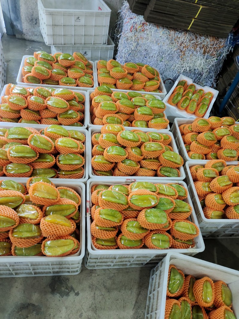 下河杨桃产地直发支持批发零售一件代发