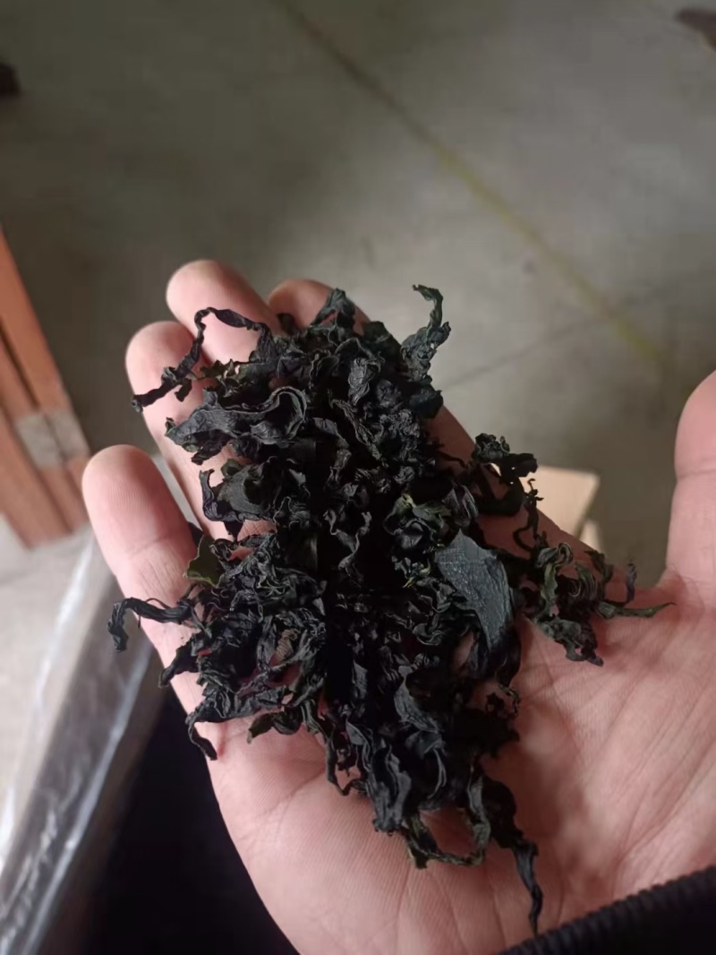 烘干出口裙带菜裙带菜脱水电商用大价格好