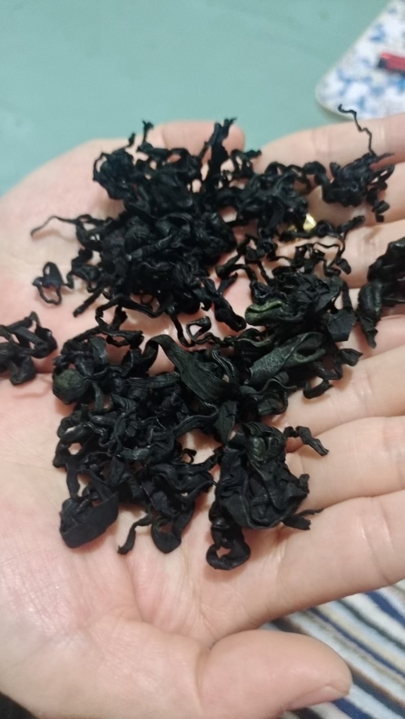 烘干出口裙带菜裙带菜脱水电商用大价格好