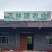 山桐子苗