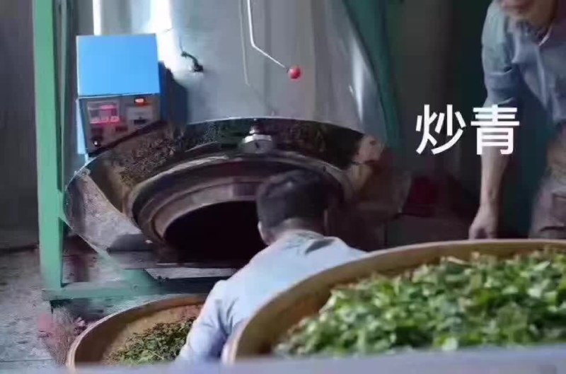 凤凰山单枞茶，