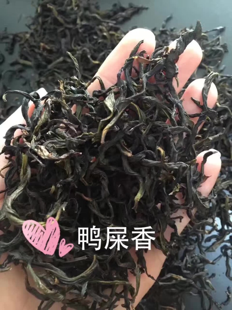 凤凰山单枞茶，