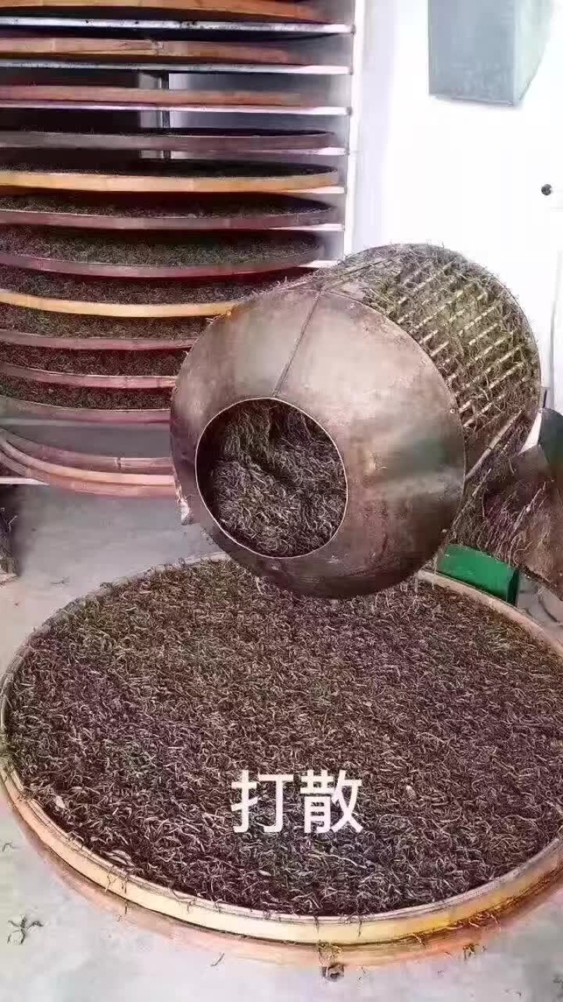 凤凰山单枞茶，