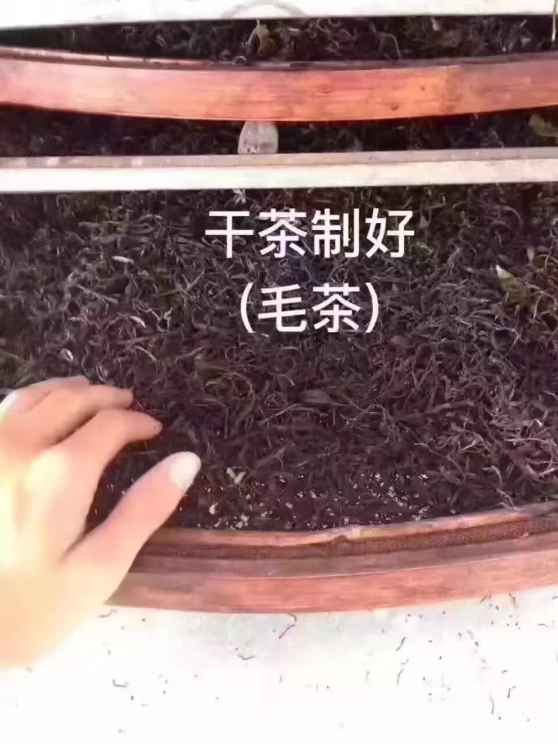 凤凰山单枞茶，