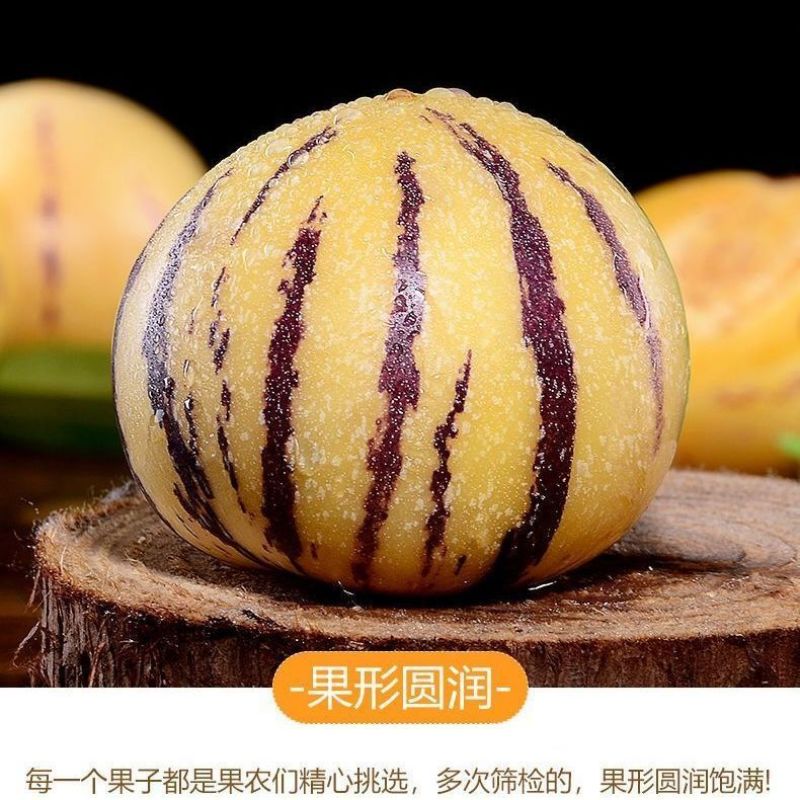 【首单直降】云南石林人参果低糖七彩黄果黄心应季孕妇水果人