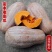 蜜本南瓜，湖北恩施的南瓜，天然含硒