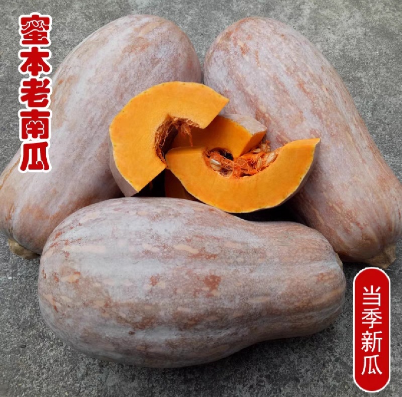 蜜本南瓜，湖北恩施的南瓜，天然含硒
