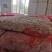 饲料鸡肠，817鸡肠，鸡混肠，养鱼专用，