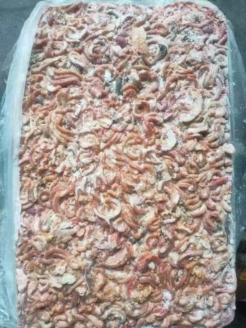 饲料鸡肠，817鸡肠，鸡混肠，养鱼专用，