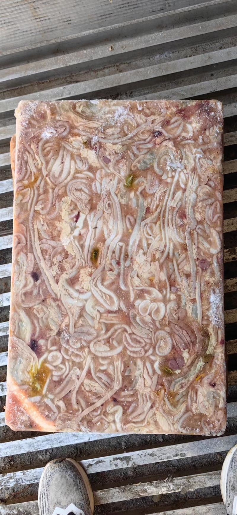 饲料鸡肠，817鸡肠，鸡混肠，养鱼专用，