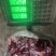 牛肉去骨四分体大块牛肉厂家直供品质保障量大优惠