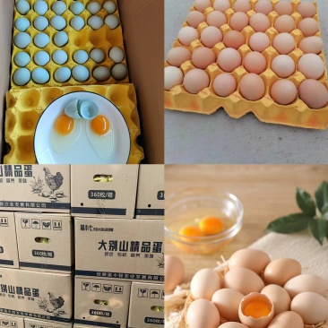 鸡蛋直批