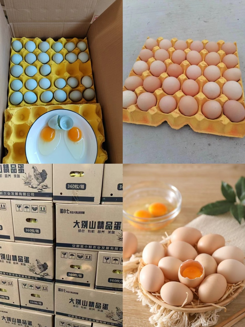 鸡蛋直批