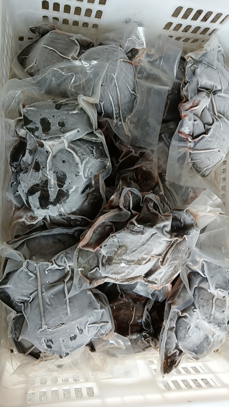 现杀外塘甲鱼去内脏去油膜，规格齐全量大从优，净重