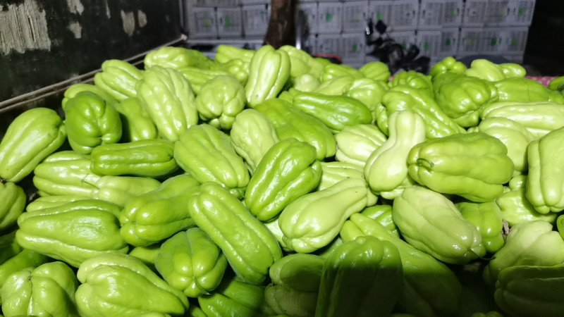 西安精品佛手瓜，半斤以上产地发货，一手货源，欢迎咨询
