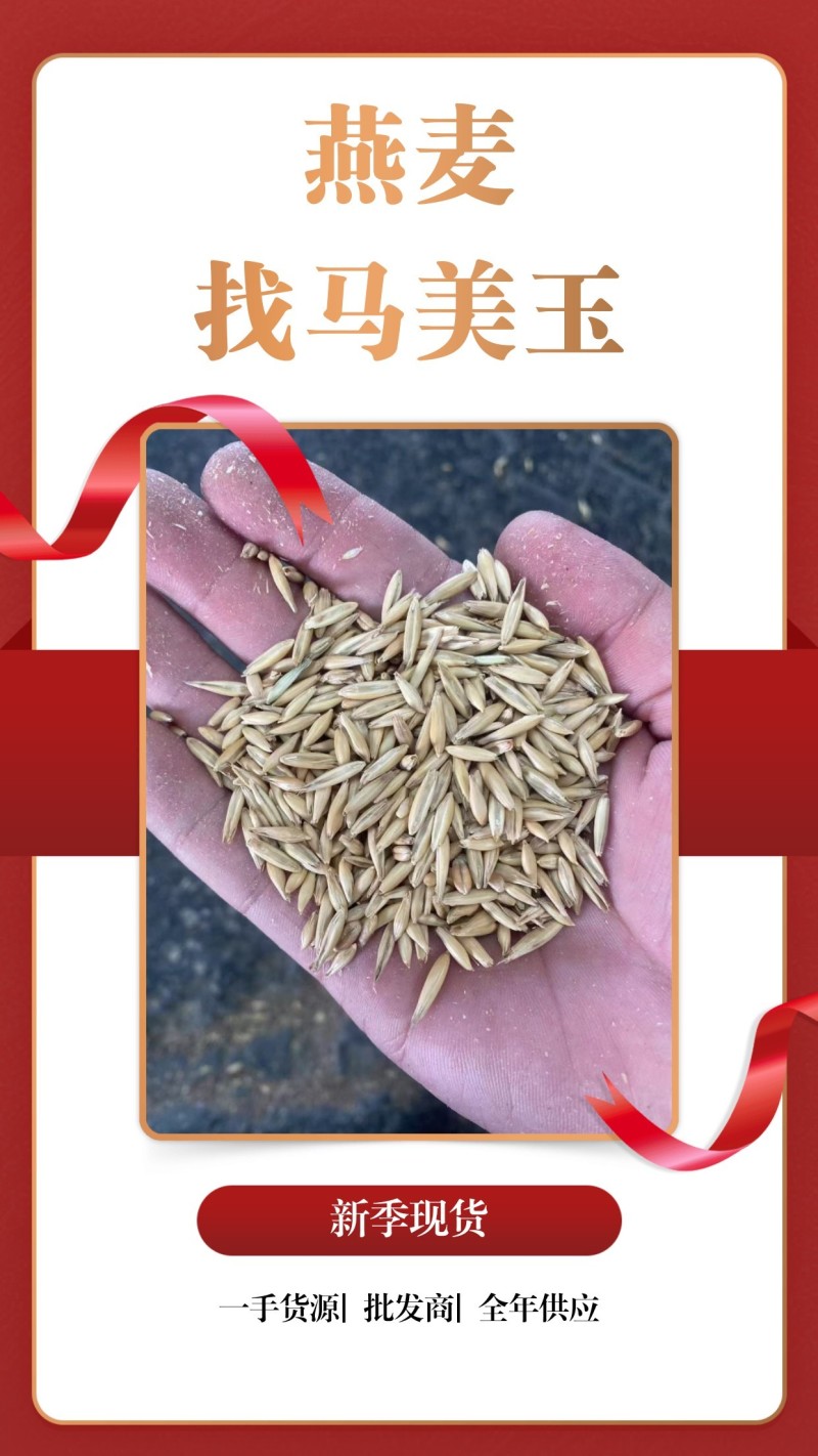 饲料燕长期直供，货源稳定，品质保障，实含亚油酸较高