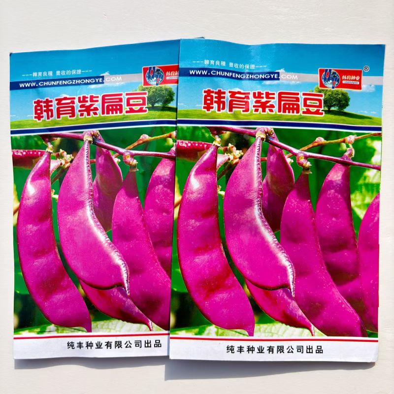紫扁豆紫眉豆红眉豆种子红峨眉豆蔬菜阳台盆栽大田高产品种易